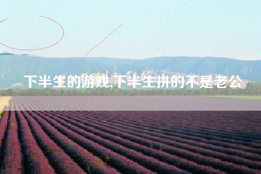 下半生的游戏,下半生拼的不是老公