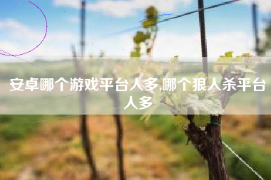 安卓哪个游戏平台人多,哪个狼人杀平台人多
