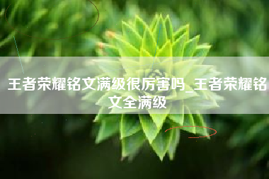 王者荣耀铭文满级很厉害吗_王者荣耀铭文全满级