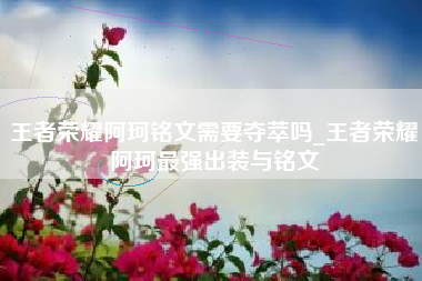 王者荣耀阿珂铭文需要夺萃吗_王者荣耀阿珂最强出装与铭文