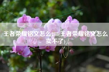 王者荣耀铭文怎么288(王者荣耀铭文怎么卖不了)