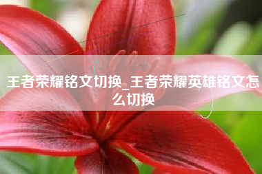 王者荣耀铭文切换_王者荣耀英雄铭文怎么切换