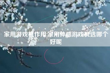 家用游戏机作用,家用体感游戏机选哪个好呢