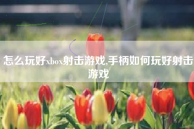 怎么玩好xbox射击游戏,手柄如何玩好射击游戏