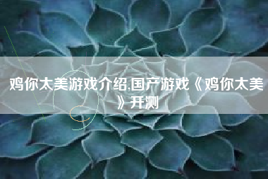 鸡你太美游戏介绍,国产游戏《鸡你太美》开测
