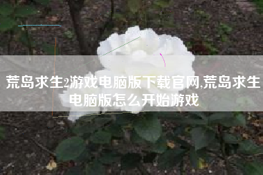 荒岛求生2游戏电脑版下载官网,荒岛求生电脑版怎么开始游戏