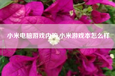 小米电脑游戏内购,小米游戏本怎么样