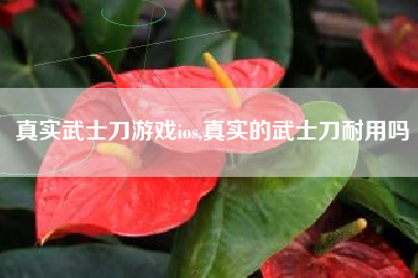 真实武士刀游戏ios,真实的武士刀耐用吗