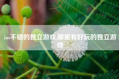 ios不错的独立游戏,哪里有好玩的独立游戏