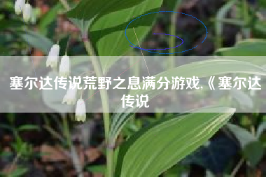 塞尔达传说荒野之息满分游戏,《塞尔达传说