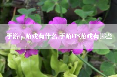 手游fps游戏有什么,手游FPS游戏有哪些
