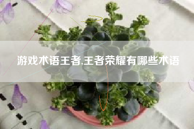 游戏术语王者,王者荣耀有哪些术语
