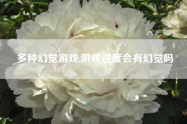 多种幻觉游戏,游戏过度会有幻觉吗