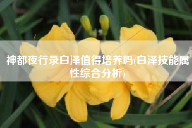 神都夜行录白泽值得培养吗(白泽技能属性综合分析)