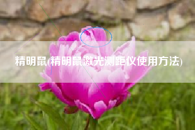 精明鼠(精明鼠激光测距仪使用方法)