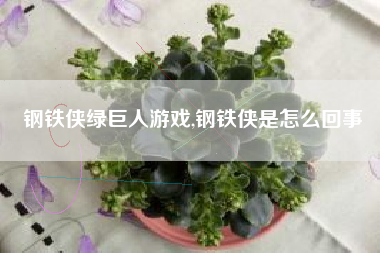 钢铁侠绿巨人游戏,钢铁侠是怎么回事