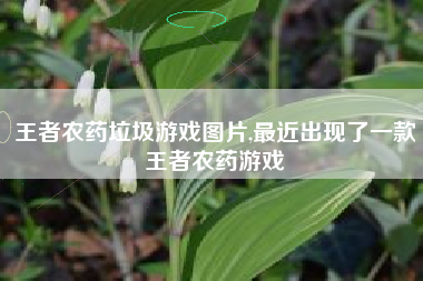 王者农药垃圾游戏图片,最近出现了一款王者农药游戏