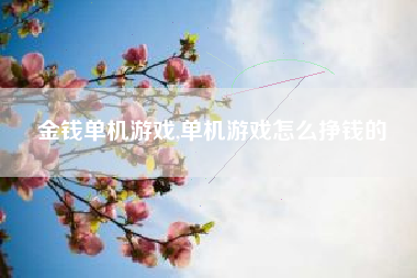 金钱单机游戏,单机游戏怎么挣钱的