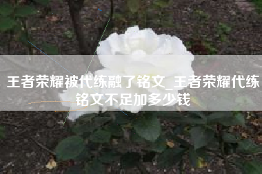 王者荣耀被代练融了铭文_王者荣耀代练铭文不足加多少钱
