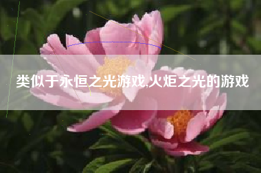 类似于永恒之光游戏,火炬之光的游戏