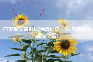 白夜极光雪落园活动玩法一览(白夜极光遗忘之雪)