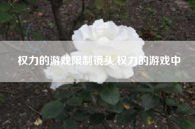 权力的游戏限制镜头,权力的游戏中