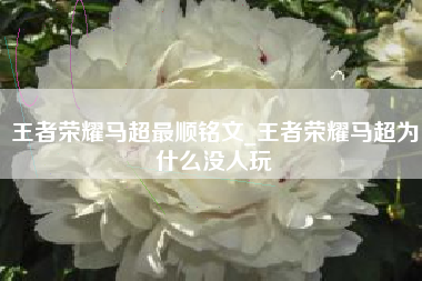 王者荣耀马超最顺铭文_王者荣耀马超为什么没人玩