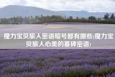 魔力宝贝旅人密语暗号都有哪些(魔力宝贝旅人心美的墓碑密语)