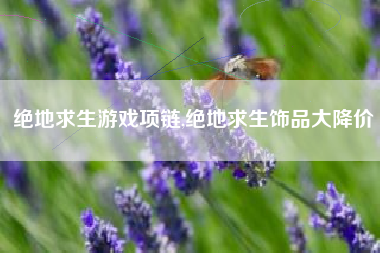 绝地求生游戏项链,绝地求生饰品大降价