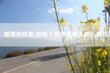 暖暖游戏里,游戏《奇迹暖暖》这么烧钱