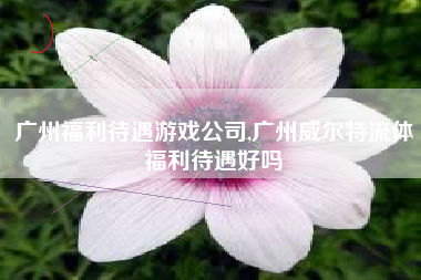 广州福利待遇游戏公司,广州威尔特流体福利待遇好吗