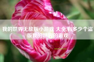 我的世界无敌版小游戏 大全,有多少个盗版我的世界的游戏