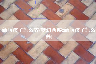 新版孩子怎么养(梦幻西游2新版孩子怎么养)