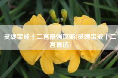 灵魂宝戒十二宫最强攻略(灵魂宝戒十二宫盲选)