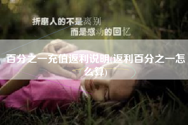 百分之一充值返利说明(返利百分之一怎么算)