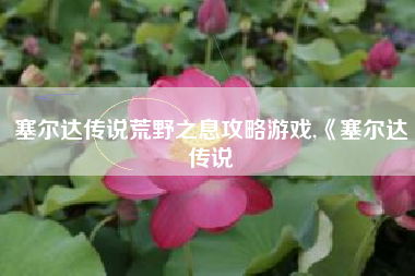 塞尔达传说荒野之息攻略游戏,《塞尔达传说