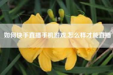 如何快手直播手机游戏,怎么样才能直播
