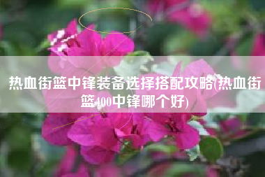 热血街篮中锋装备选择搭配攻略(热血街篮400中锋哪个好)