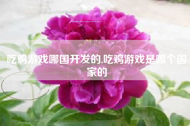 吃鸡游戏哪国开发的,吃鸡游戏是哪个国家的