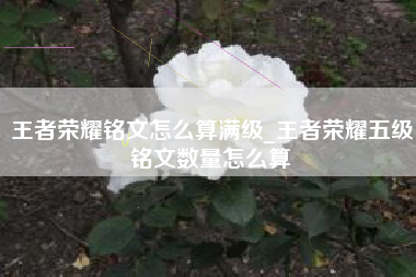 王者荣耀铭文怎么算满级_王者荣耀五级铭文数量怎么算