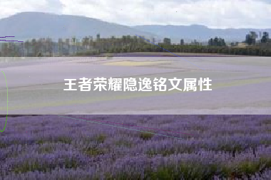 王者荣耀隐逸铭文属性