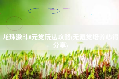 龙珠激斗0元党玩法攻略(无氪党培养心得分享)