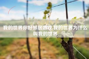 我的世界你好邻居游戏,我的世界为什么叫我的世界