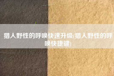 猎人野性的呼唤快速升级(猎人野性的呼唤快捷键)