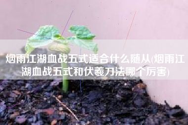 烟雨江湖血战五式适合什么随从(烟雨江湖血战五式和伏羲刀法哪个厉害)