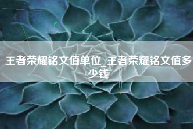 王者荣耀铭文值单位_王者荣耀铭文值多少钱