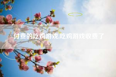 付费的吃鸡游戏,吃鸡游戏收费了