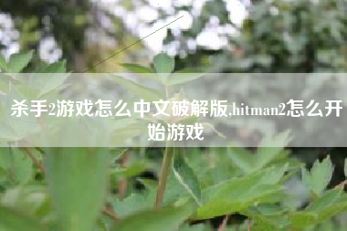 杀手2游戏怎么中文破解版,hitman2怎么开始游戏