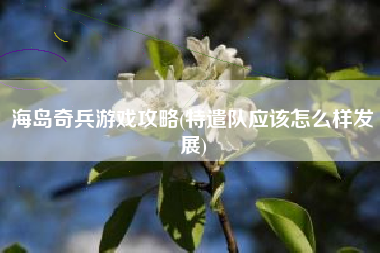 海岛奇兵游戏攻略(特遣队应该怎么样发展)