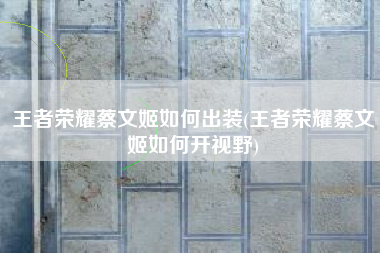 王者荣耀蔡文姬如何出装(王者荣耀蔡文姬如何开视野)